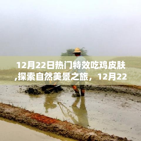 探索自然美景之旅，揭秘12月22日特效吃雞皮膚背后的寧靜力量