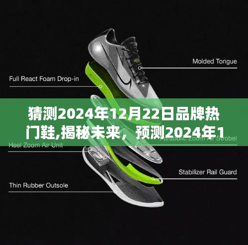 揭秘未來(lái)鞋履潮流趨勢(shì)，預(yù)測(cè)2024年12月22日熱門(mén)品牌鞋風(fēng)采亮相