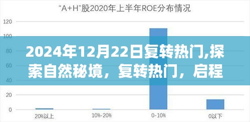 探索自然秘境，啟程心靈之旅，復(fù)轉(zhuǎn)熱門的心靈探索之旅（2024年）