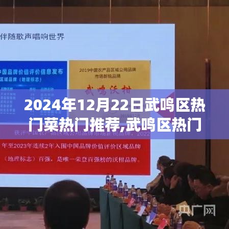 武鳴區熱門菜推薦展望，2024年12月22日的味蕾盛宴
