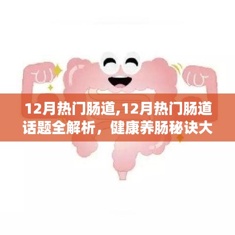 揭秘十二月腸道健康熱點話題，腸道養生秘訣大解析