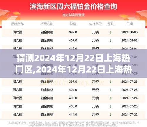 深度剖析，展望2024年12月22日上海熱門區(qū)域背景、事件與地位