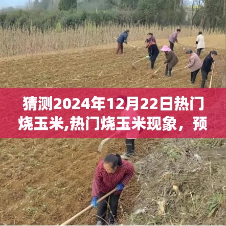 預測與探討，2024年12月22日燒玉米熱潮的興起與現(xiàn)象