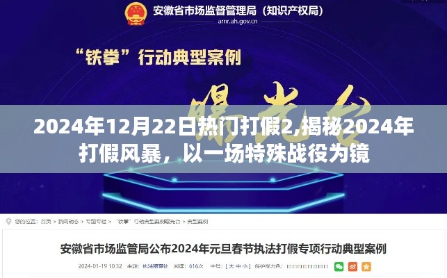 揭秘2024年打假風暴，一場特殊戰役的啟示與反思