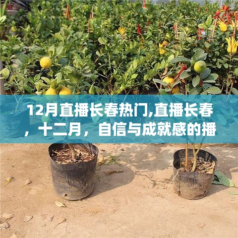 物以稀為貴 第2頁