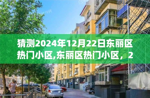東麗區熱門小區展望與回顧，預測2024年12月22日的趨勢與變化
