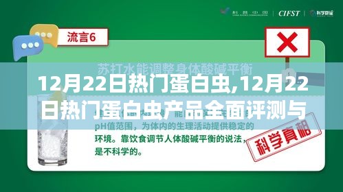 12月22日熱門蛋白蟲產品全面評測與介紹，洞悉行業趨勢