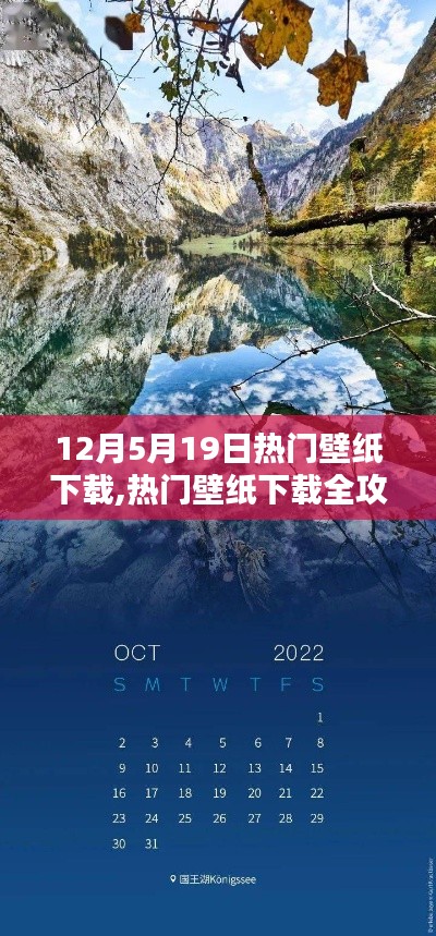 12月5日至19日精選壁紙下載全攻略，步驟詳解與熱門壁紙下載