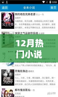 12月熱門小說全面評測與介紹，一網打盡！