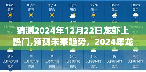2024年龍蝦熱潮預測，全方位評測未來美食趨勢