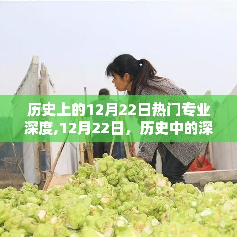 揭秘歷史上的熱門專業(yè)深度，笑聲背后的歷史深度解讀日（12月22日）
