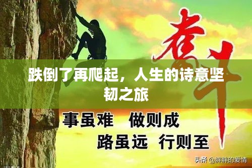跌倒了再爬起，人生的詩(shī)意堅(jiān)韌之旅