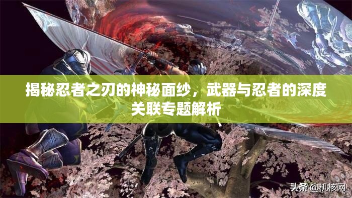 揭秘忍者之刃的神秘面紗，武器與忍者的深度關聯專題解析