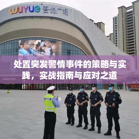 處置突發(fā)警情事件的策略與實(shí)踐，實(shí)戰(zhàn)指南與應(yīng)對(duì)之道