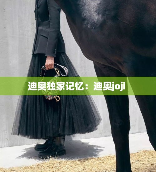 迪奧獨(dú)家記憶：迪奧joji 