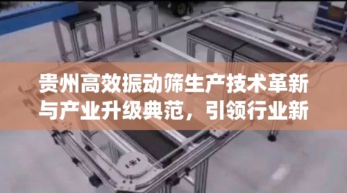 貴州高效振動篩生產(chǎn)技術(shù)革新與產(chǎn)業(yè)升級典范，引領(lǐng)行業(yè)新風(fēng)向！