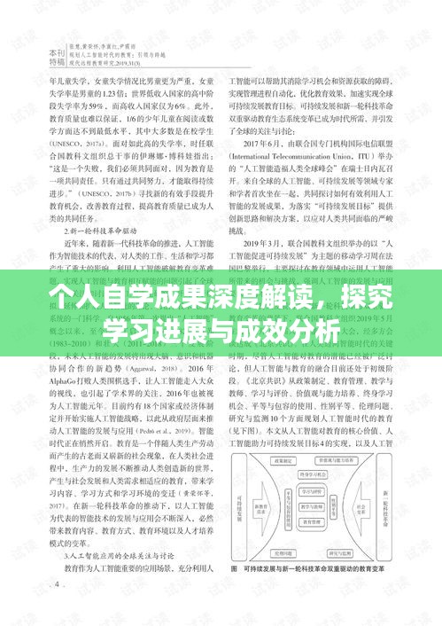 個(gè)人自學(xué)成果深度解讀，探究學(xué)習(xí)進(jìn)展與成效分析