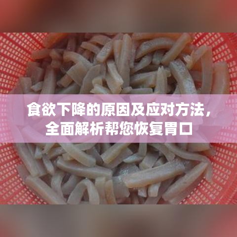 食欲下降的原因及應對方法，全面解析幫您恢復胃口