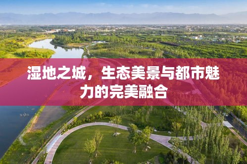 濕地之城，生態美景與都市魅力的完美融合