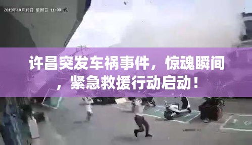 羊腸鳥(niǎo)道 第3頁(yè)