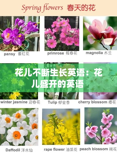 花兒不斷生長英語：花兒盛開的英語 