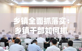 鄉(xiāng)鎮(zhèn)全面抓落實：鄉(xiāng)鎮(zhèn)干部如何抓工作落實 