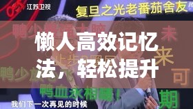 懶人高效記憶法，輕松提升記憶力的秘訣攻略