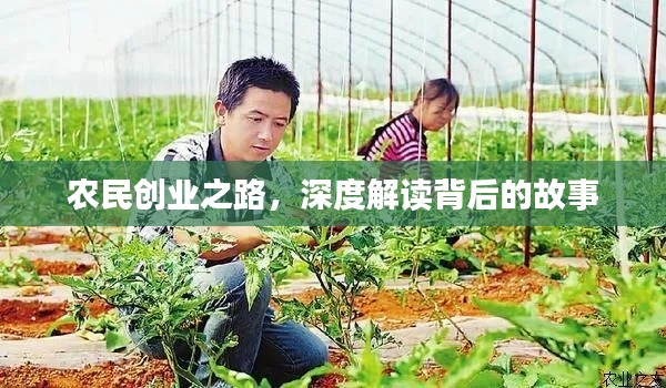 農(nóng)民創(chuàng)業(yè)之路，深度解讀背后的故事