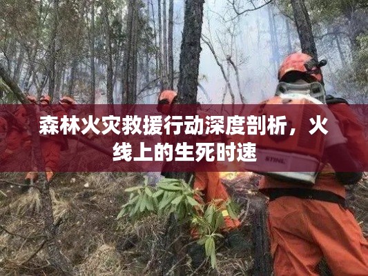 森林火災救援行動深度剖析，火線上的生死時速