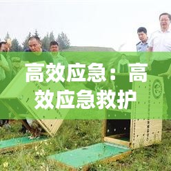 鳥啼花落 第2頁