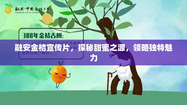 融安金桔宣傳片，探秘甜蜜之源，領略獨特魅力