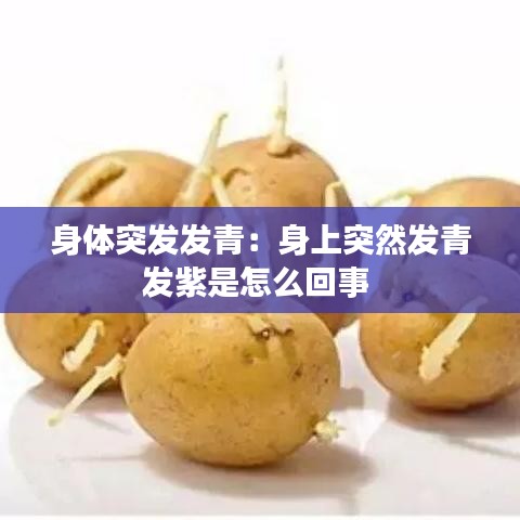 全始全終 第3頁