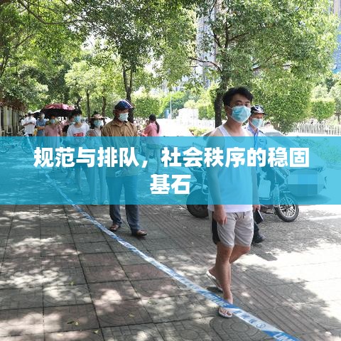 規范與排隊，社會秩序的穩固基石