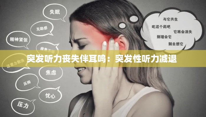 慘淡經(jīng)營(yíng) 第3頁(yè)
