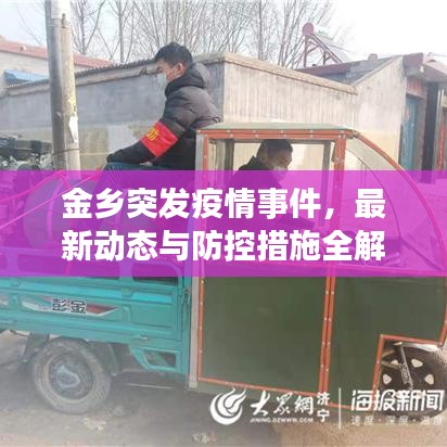 金鄉突發疫情事件，最新動態與防控措施全解析