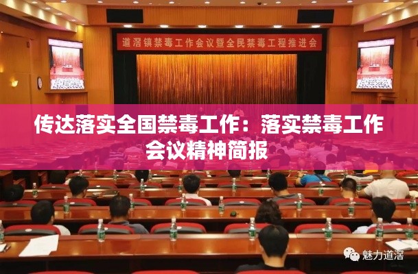 傳達落實全國禁毒工作：落實禁毒工作會議精神簡報 