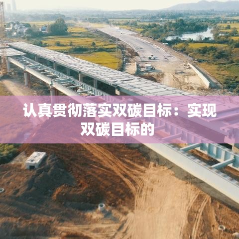 認真貫徹落實雙碳目標：實現雙碳目標的 