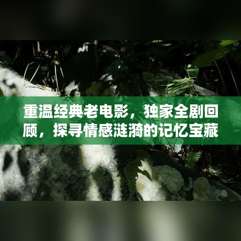 重溫經(jīng)典老電影，獨(dú)家全劇回顧，探尋情感漣漪的記憶寶藏