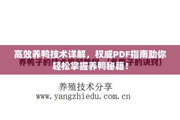 高效養鴨技術詳解，權威PDF指南助你輕松掌握養鴨秘籍！