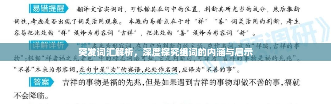 突發詞匯解析，深度探究組詞的內涵與啟示