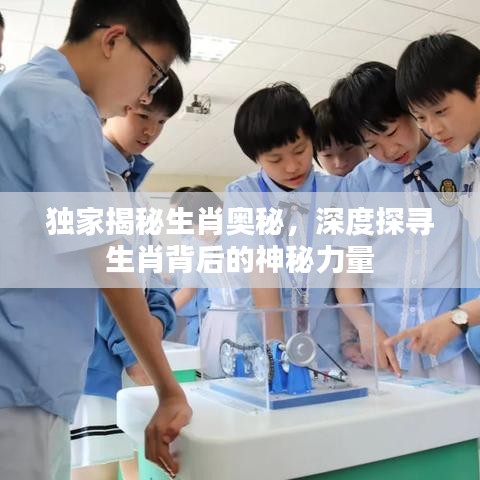 獨(dú)家揭秘生肖奧秘，深度探尋生肖背后的神秘力量