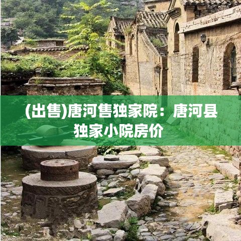 (出售)唐河售獨(dú)家院：唐河縣獨(dú)家小院房?jī)r(jià) 