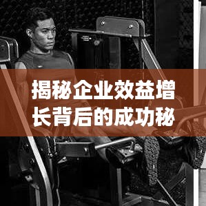 揭秘企業(yè)效益增長(zhǎng)背后的成功秘訣，企業(yè)成功之路圖解析