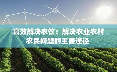 高效解決農飲：解決農業農村農民問題的主要途徑 