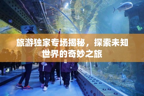 旅游獨(dú)家專場(chǎng)揭秘，探索未知世界的奇妙之旅