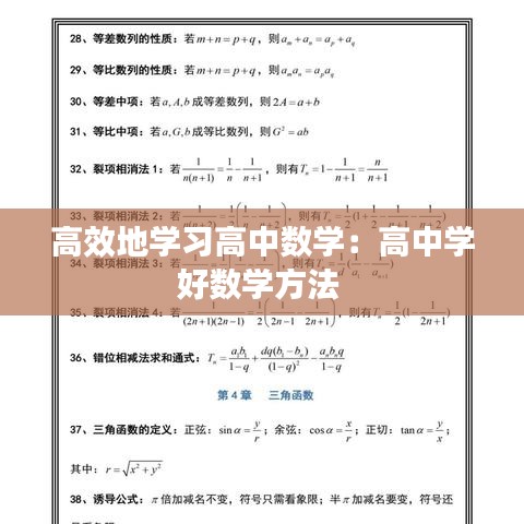 高效地學習高中數(shù)學：高中學好數(shù)學方法 