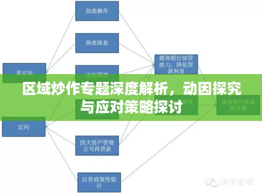 區(qū)域炒作專題深度解析，動因探究與應(yīng)對策略探討