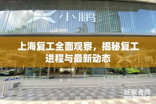 上海復工全面觀察，揭秘復工進程與最新動態