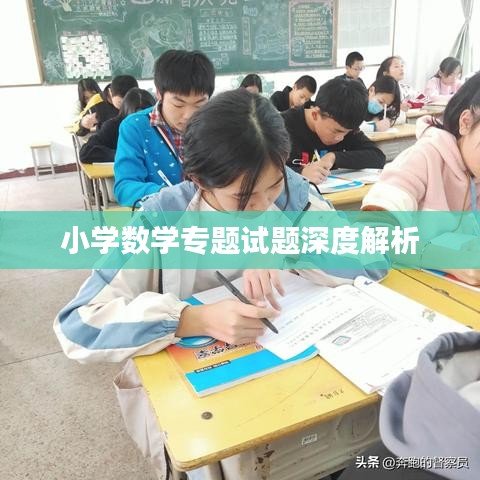 小學數(shù)學專題試題深度解析