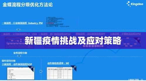 新疆疫情挑戰(zhàn)及應(yīng)對策略